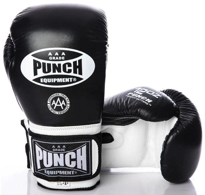 Punch Trophy Getters Boxing Glove